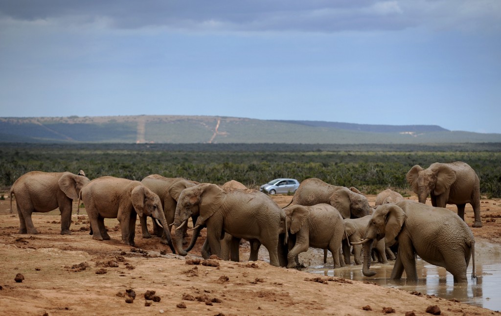 south africa