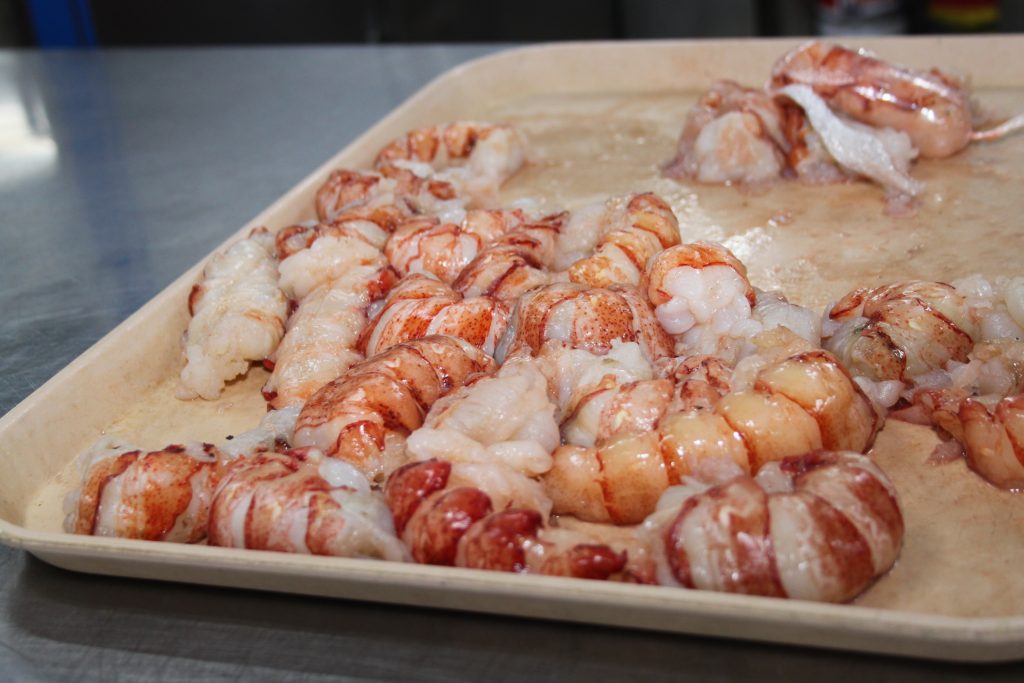 Frisches Lobster Fleisch vor der Zubereitung
